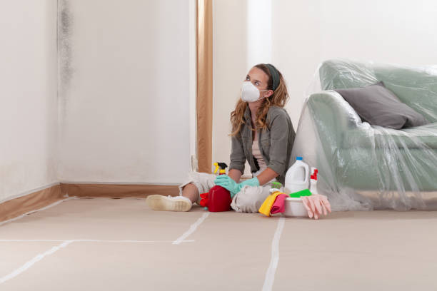Reliable Mold Removal contractor in Woodbine, MD by Car Mold Remediation